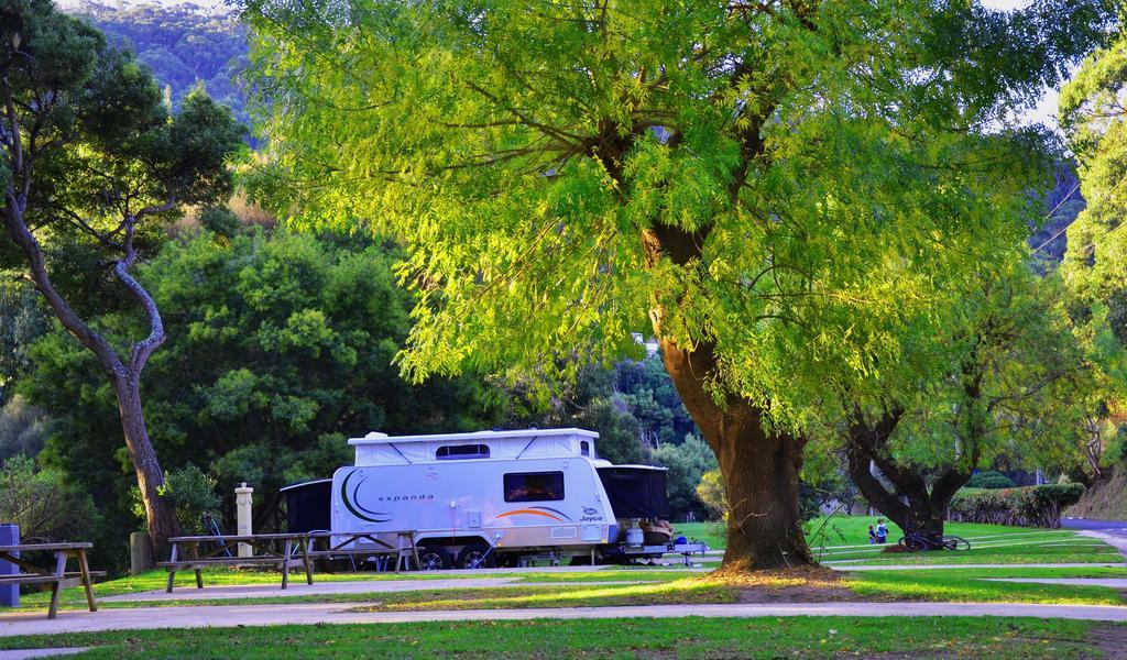 Big4 Wye River Holiday Park エクステリア 写真