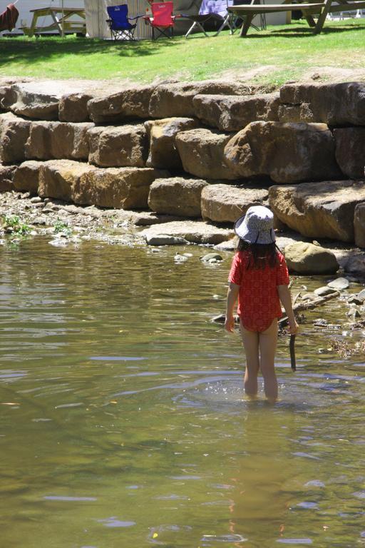 Big4 Wye River Holiday Park エクステリア 写真