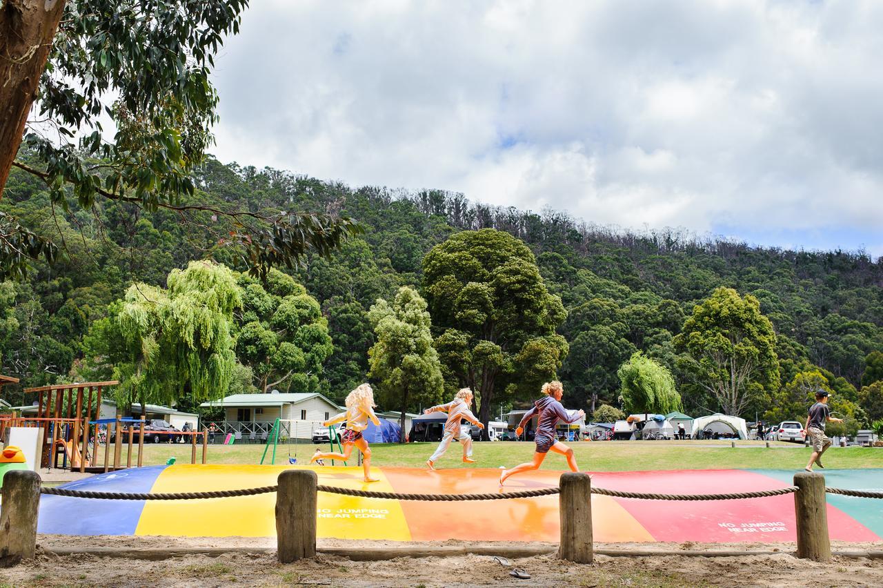Big4 Wye River Holiday Park エクステリア 写真